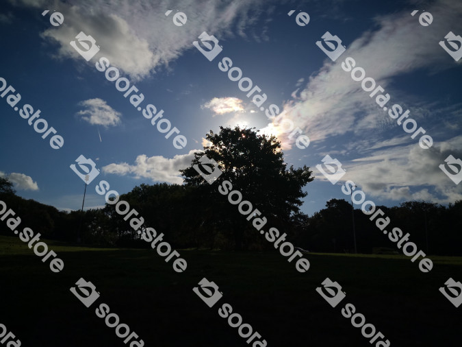 Vlietland Park
