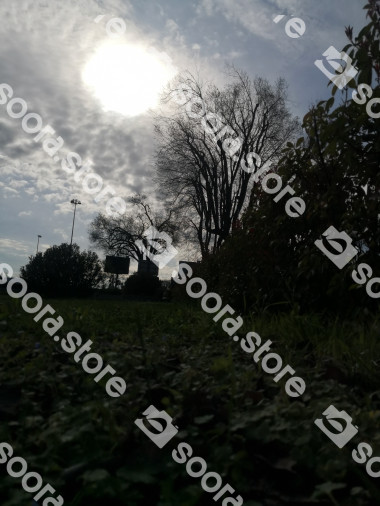 Verona's Landscape