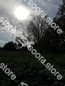 Verona's Landscape